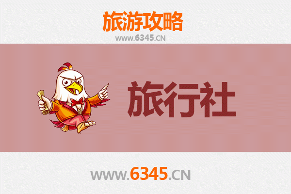东营河口本地旅行社推荐：探索黄河入海口的绝佳选择