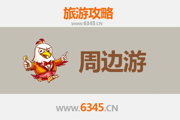 东营河口短途游：黄河入海奇观与生态湿地探秘