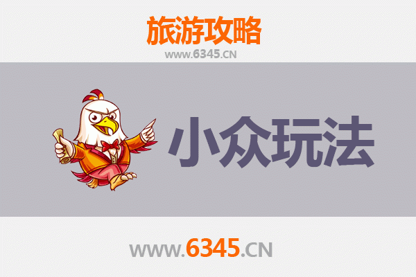 东营河口小众玩法探秘：黄河入海口的生态奇遇与渔盐文化深度体验